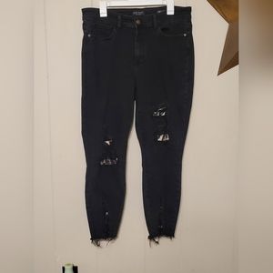 Judy Blue Black Skinny Jeans 16W Leopard Patch Distressed Stretch